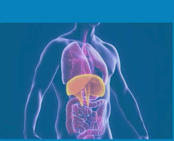 La technique de respiration abdominale 